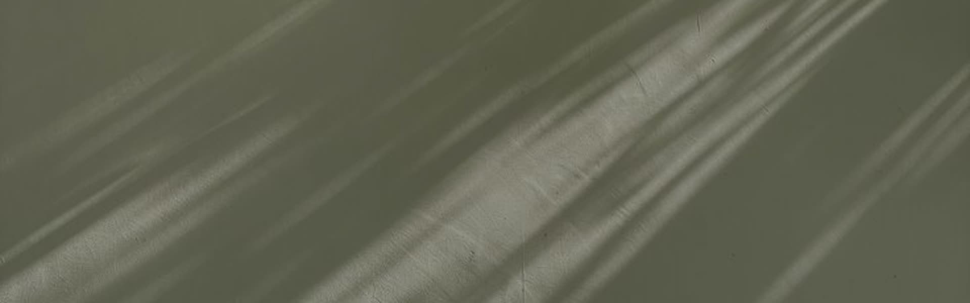 Sunlight filtering through leaves onto a stone wall