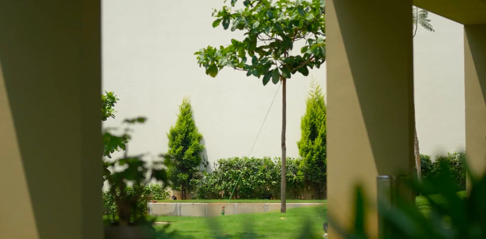Young trees and a green lawn seen between building columns
