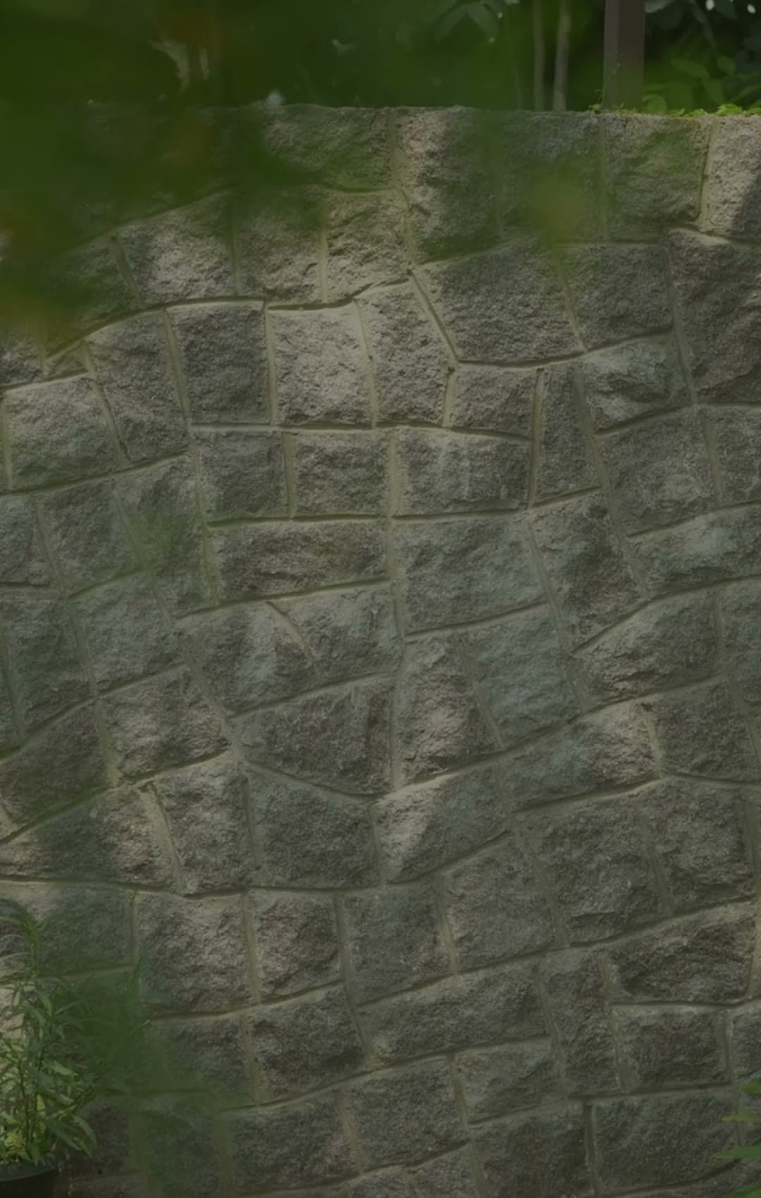 Stone wall framed by planting at an Alekhya Homes residence