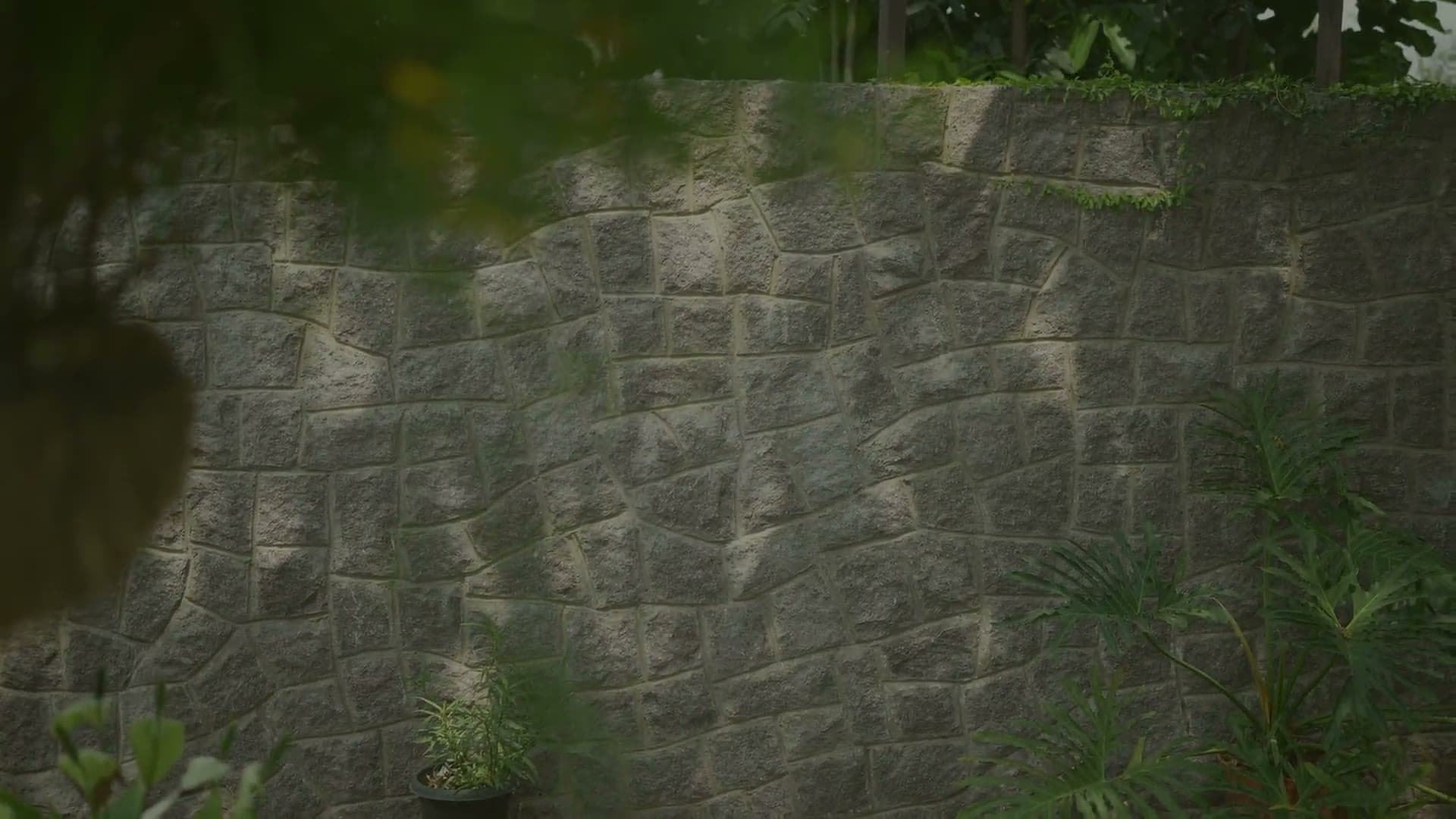 Stone wall framed by planting at an Alekhya Homes residence