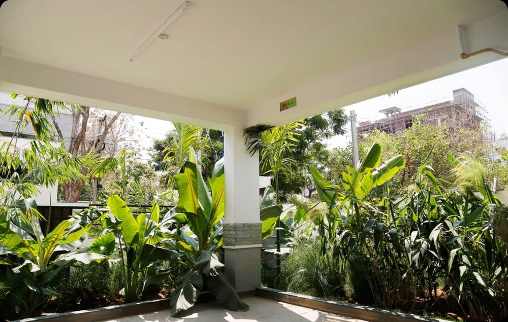 Palmwoods residences behind mature planting